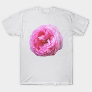 Pink peony T-Shirt